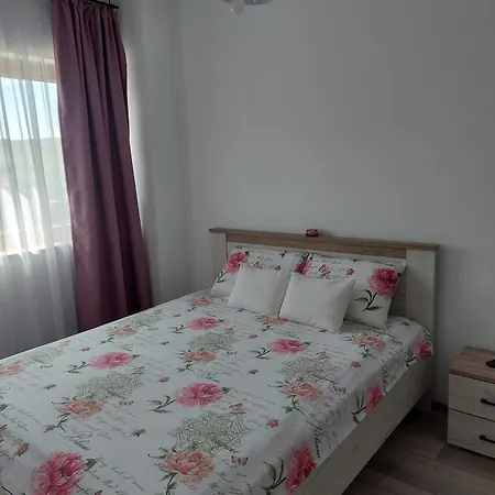 Timea's House Apartment Bistrita (Bistrita-Nasaud)